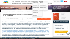Small Drones Market - Key Players Overview