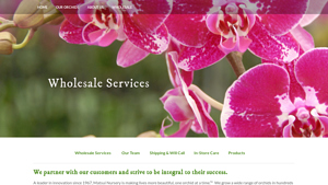 Matsui Nursery - Orchids