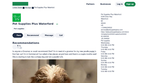 Pet Supplies Plus - Grooming Services & Senior Discounts