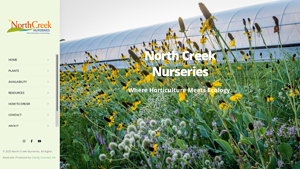 North Creek Nurseries - Starter Plugs