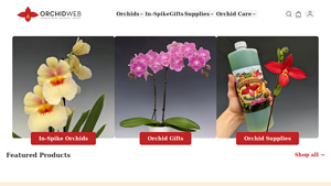 OrchidWeb - Premium Orchids for Sale