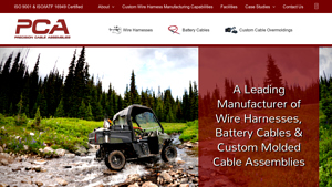 PCA - Wire Harnesses & Cable Assemblies