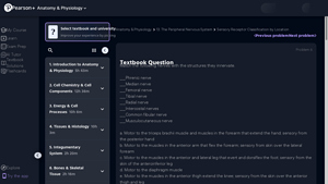 Pearson - Study Prep Courses