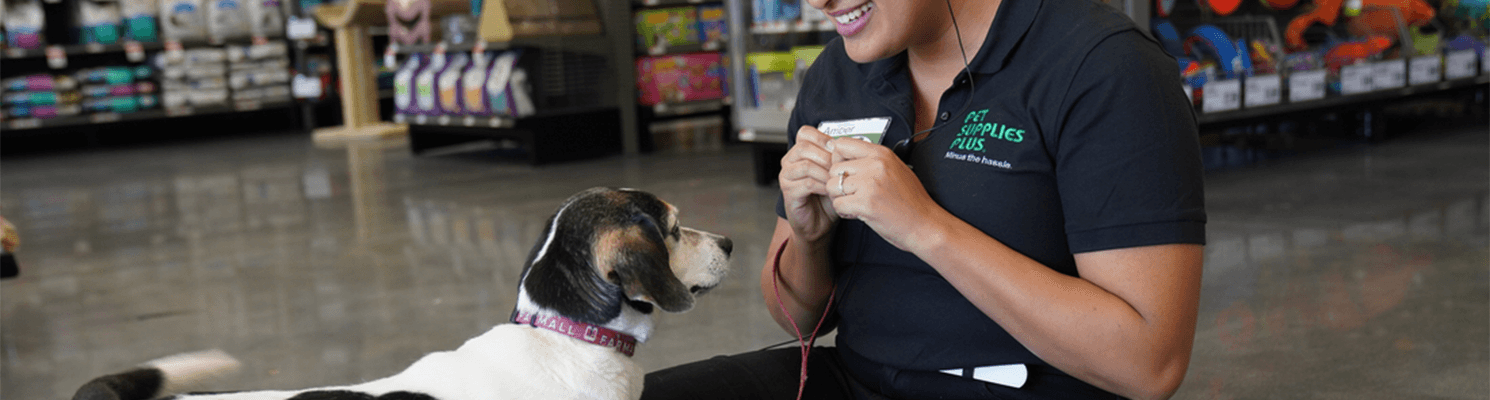 A stock image illustrating pet supplies plus application concepts
