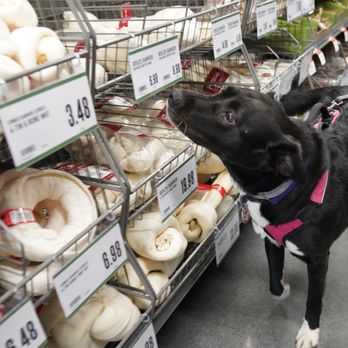A stock image illustrating pet supplies plus taylor concepts