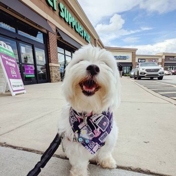 A stock image illustrating pet supplies plus taylor concepts