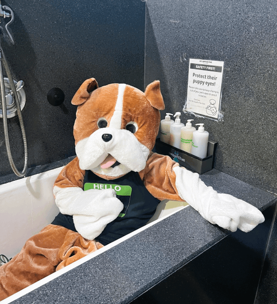 A stock image illustrating pet supplies plus woodland concepts