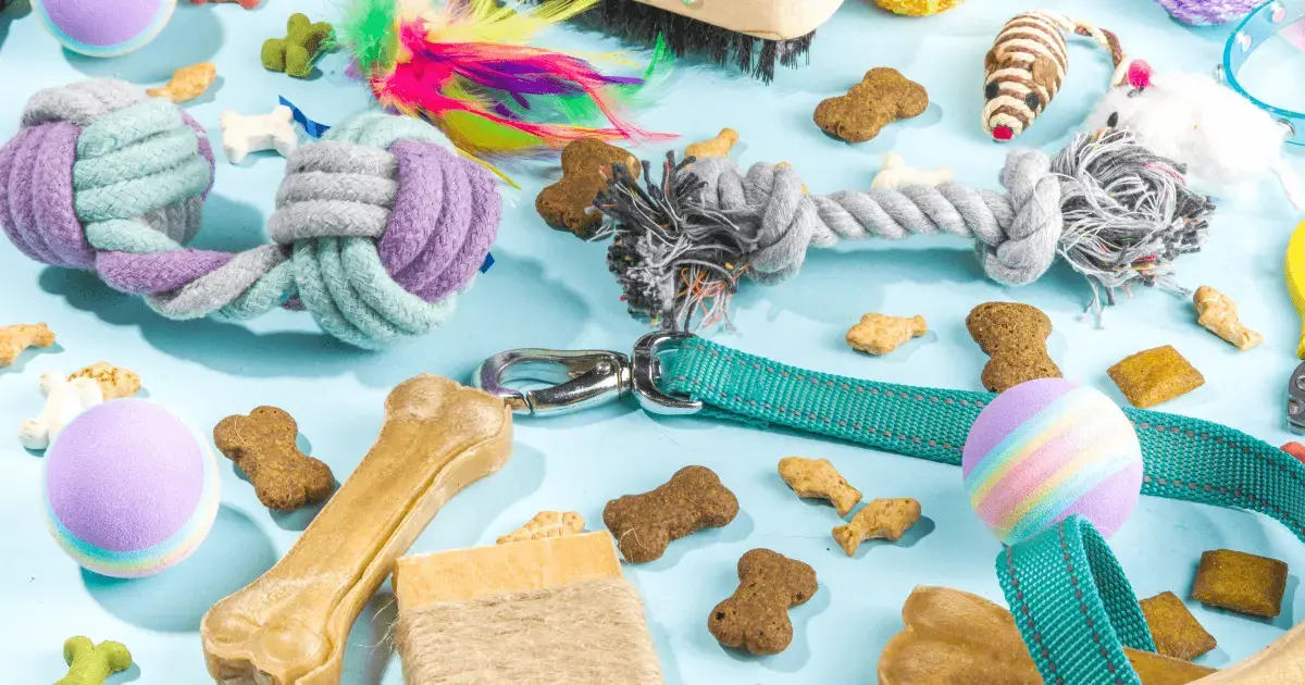 A stock image illustrating pet supplies stores concepts