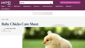 PetMD - Baby Chick Supply Essentials
