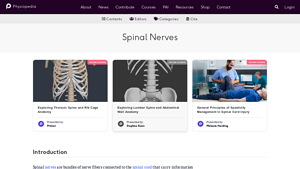 Physio-Pedia - Spinal Nerve Anatomy