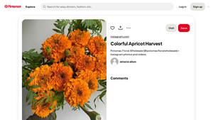Pinterest - Colorful Wholesale Flowers