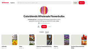 Colorblends - Wholesale Flowerbulbs