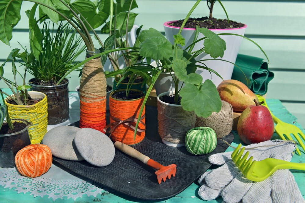 A stock image illustrating plant supplies concepts