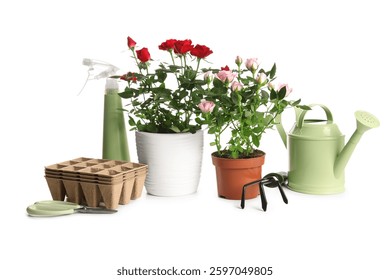 A stock image illustrating plant supplies concepts