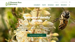 Pleasant Run Nursery - Wholesale Plants & Perennials