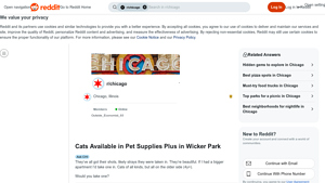 Pet Supplies Plus - Adopt Beautiful Older Cats
