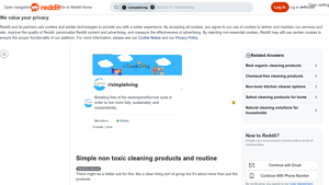 Reddit - Essential Cleaning Products