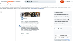 Reddit - Doggy Hammocks & Seat Belts for Dogs