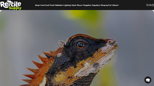 Reptile Supply - Bearded Dragon Essentials
