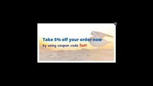 Sandlappers Beach Supplies - Beach Gear Rentals
