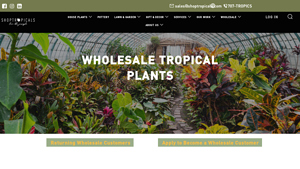 Shop Tropicals - Wholesale Plants
