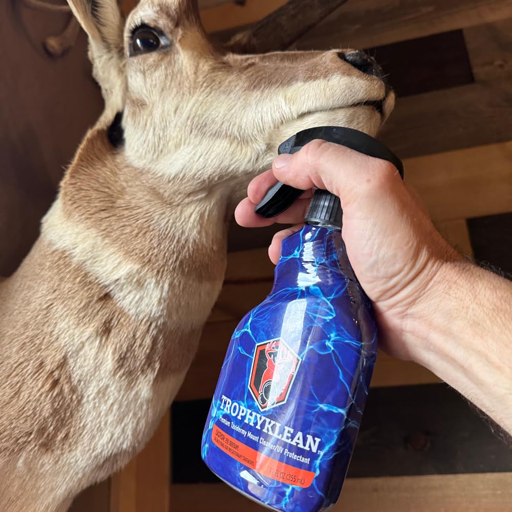 A stock image illustrating taxidermy supplies concepts