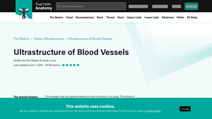 Teach Me Anatomy - Ultrastructure of Blood Vessels