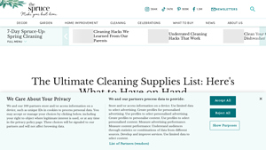 The Spruce - Essential Cleaning Tools