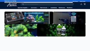 Top Shelf Aquatics - Live Corals