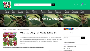 Tropics at Home - Monstera