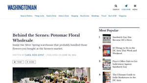 Potomac Floral Wholesale - Fresh Flowers & Wedding Specialties