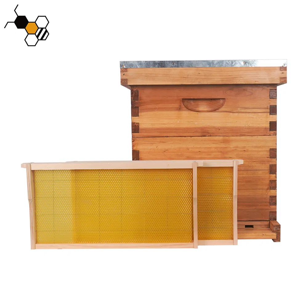 3D show room_3D Show Room_Beekeeping equipment
