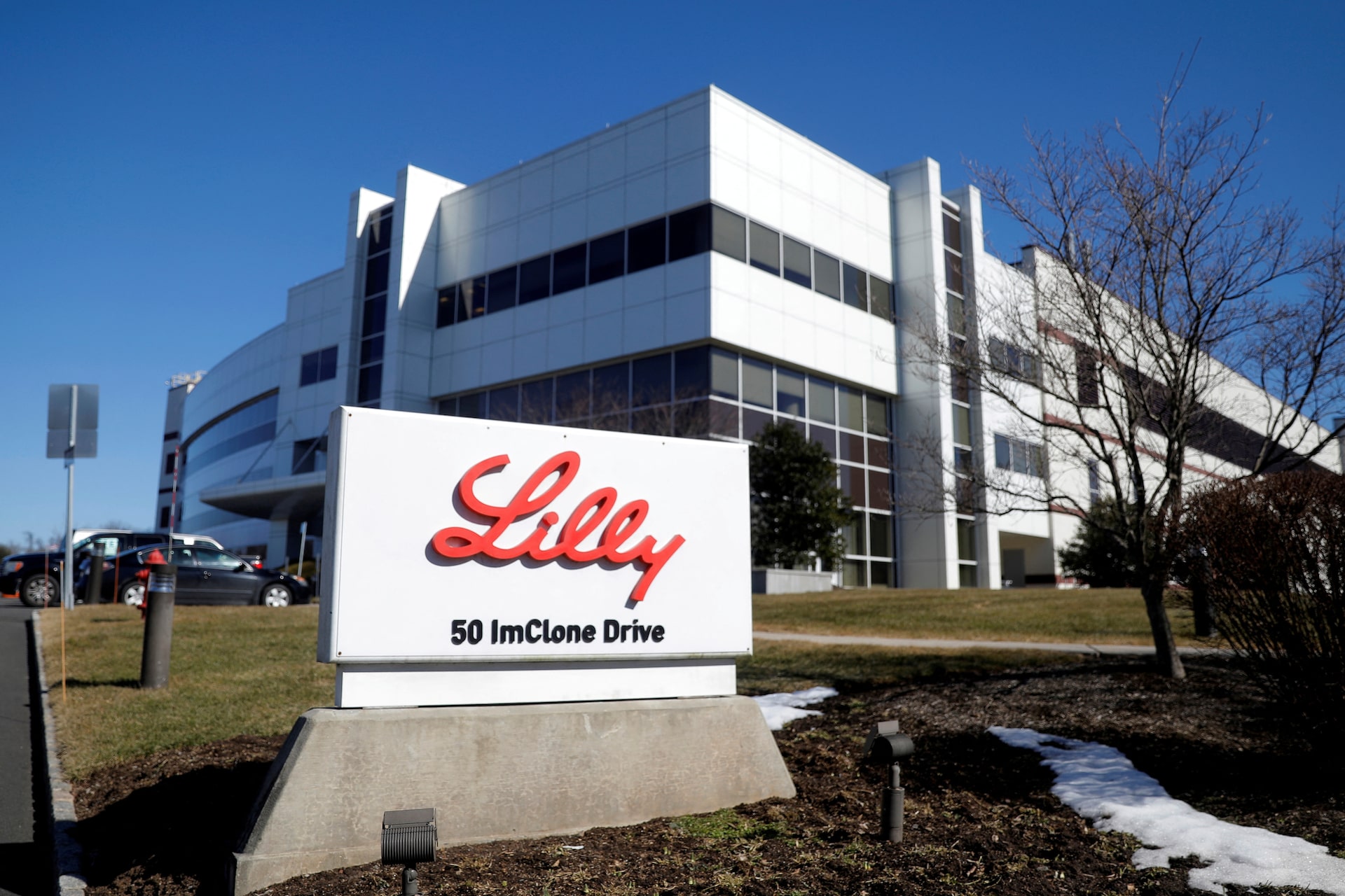 About Lilly