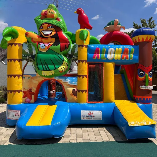 Ace Inflatables