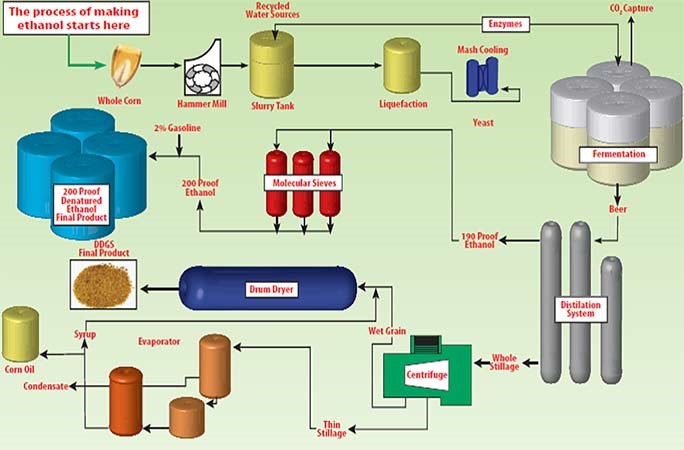 Alcohol industry insight