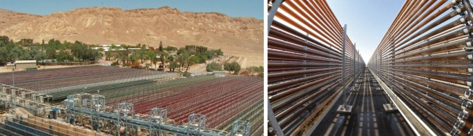 Algae Health Sciences