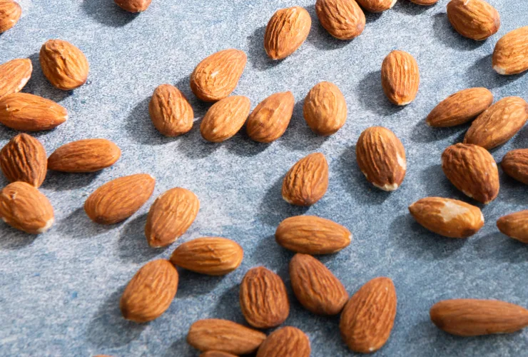 Almond Ingredient Supplier