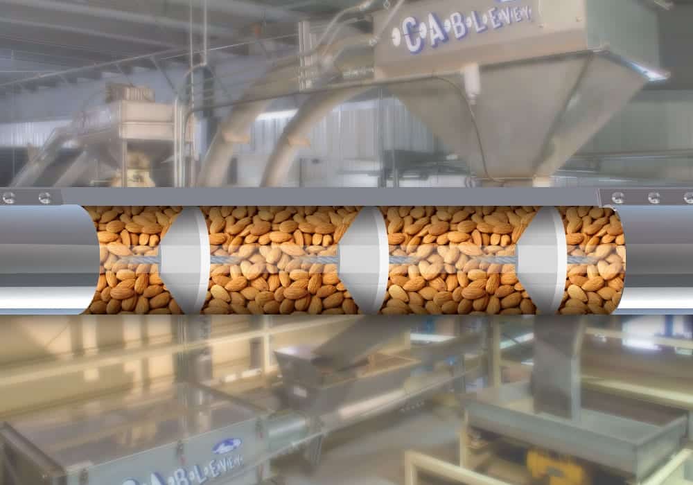 Almond industry insight