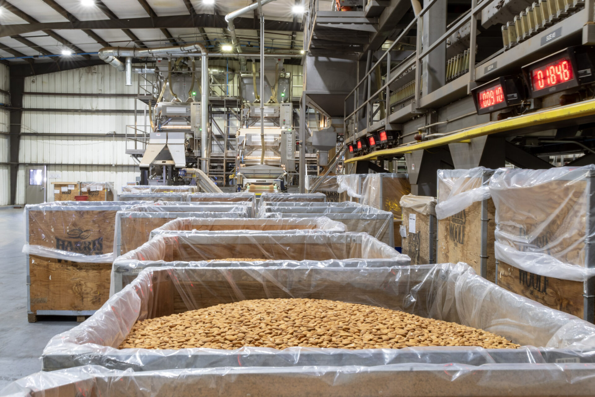 Almond industry insight