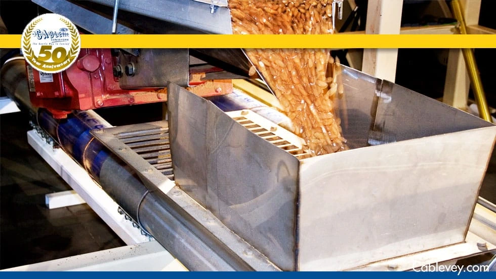 Almond industry insight