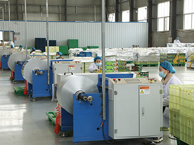 Aluminium Foil China industry insight