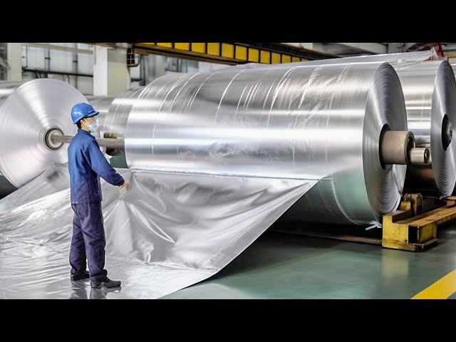 Aluminium Foil industry insight
