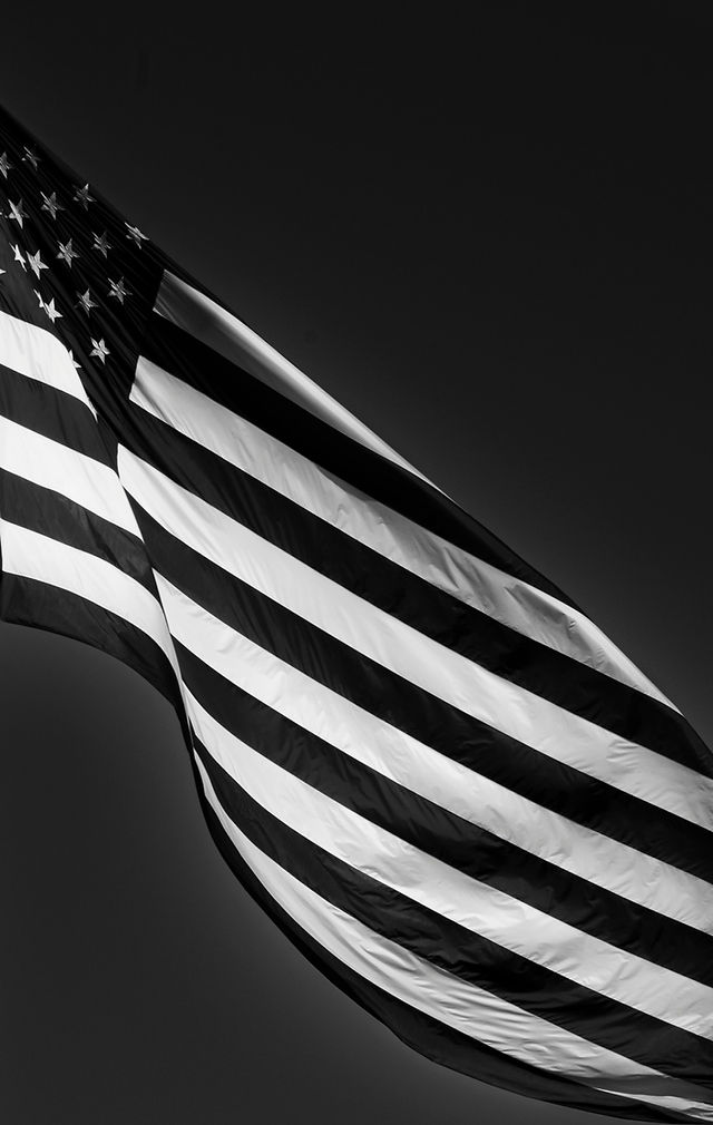 American Fashion Network, LLC
