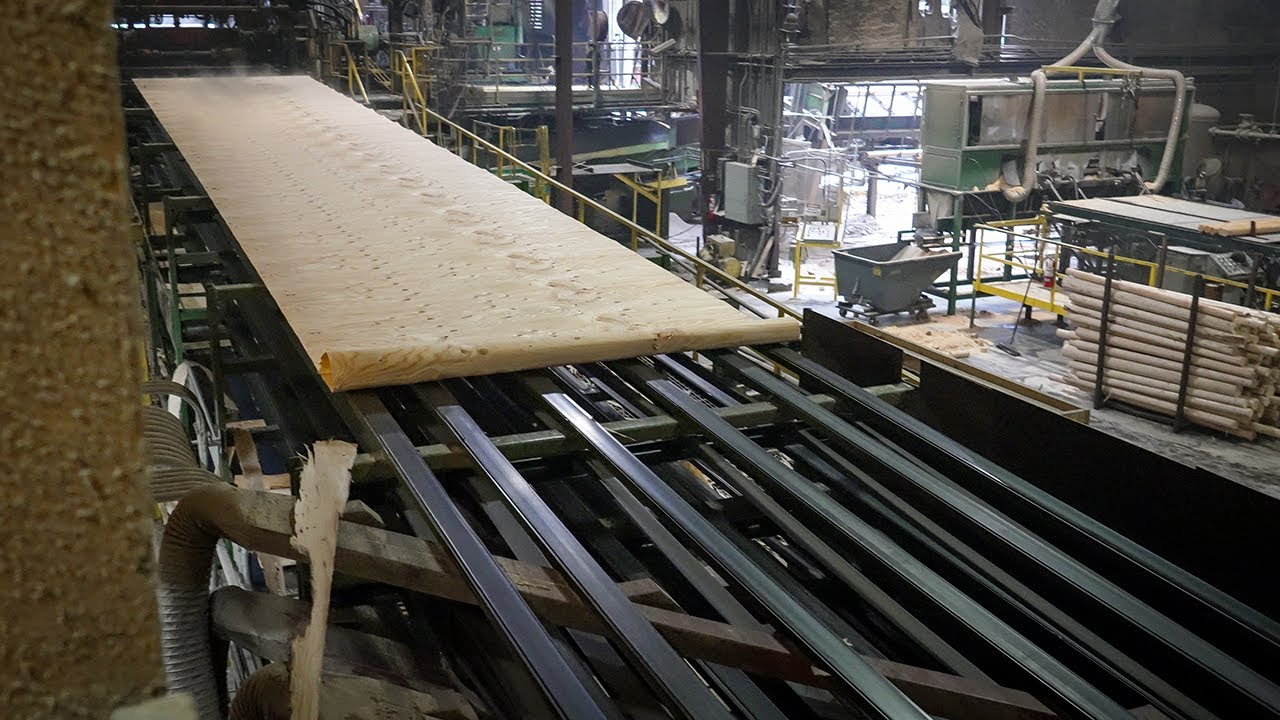 American Plywood industry insight