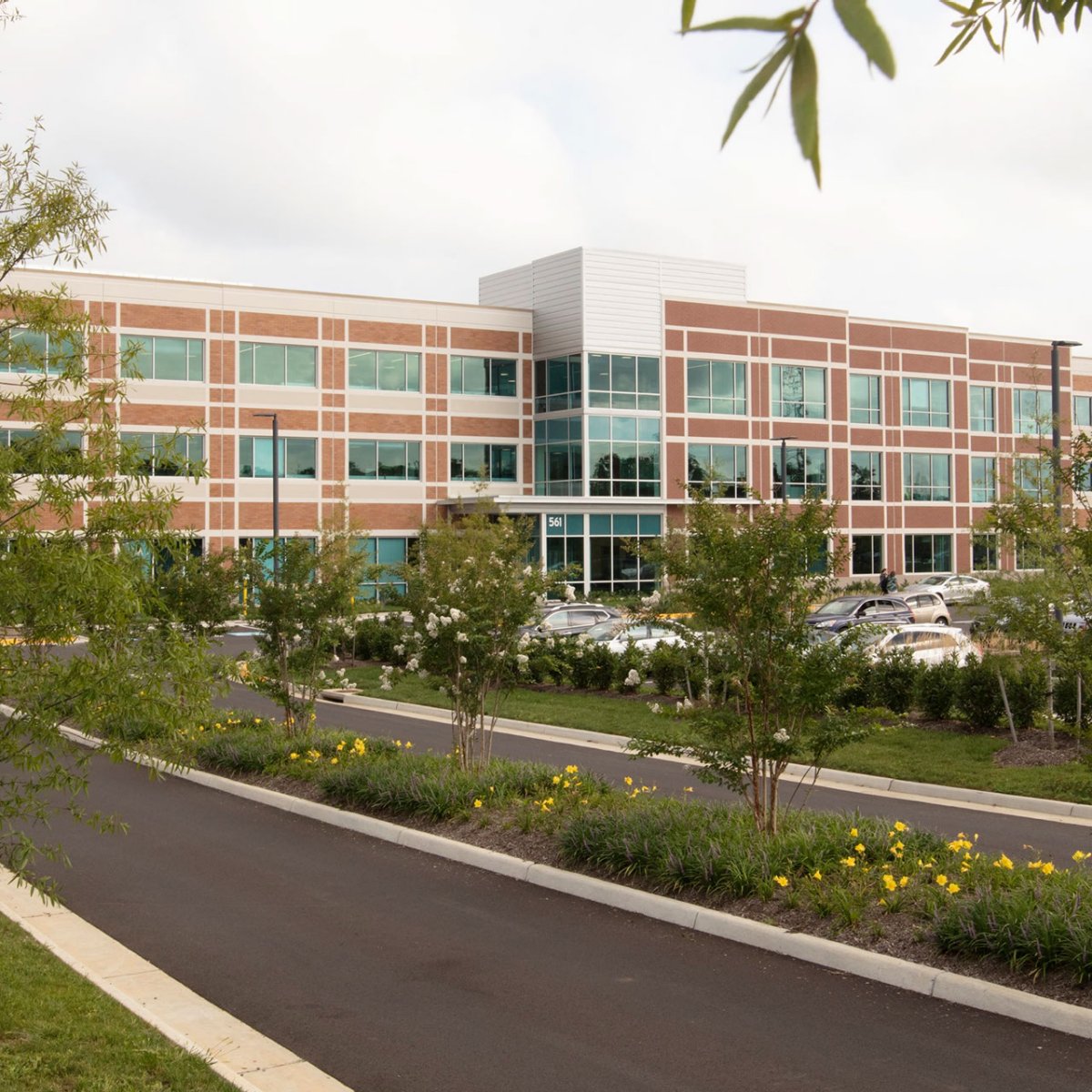 American Woodmark Corporation