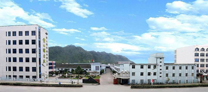 An expert in China's chain transmission industry, Professional chain ...