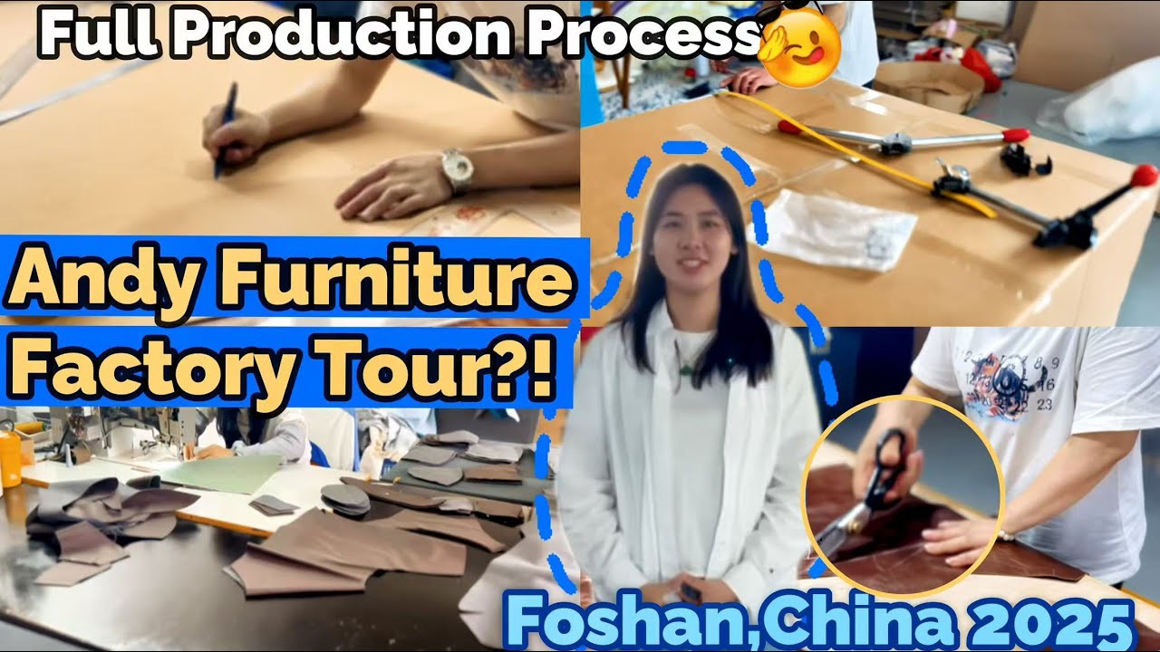 Andy China industry insight