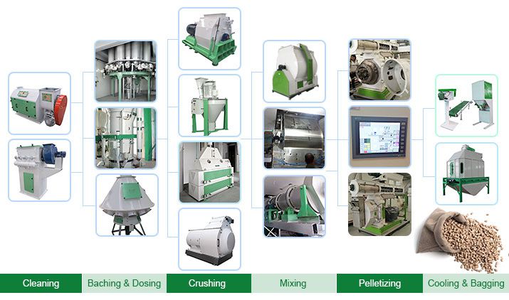 Animal Feed industry insight