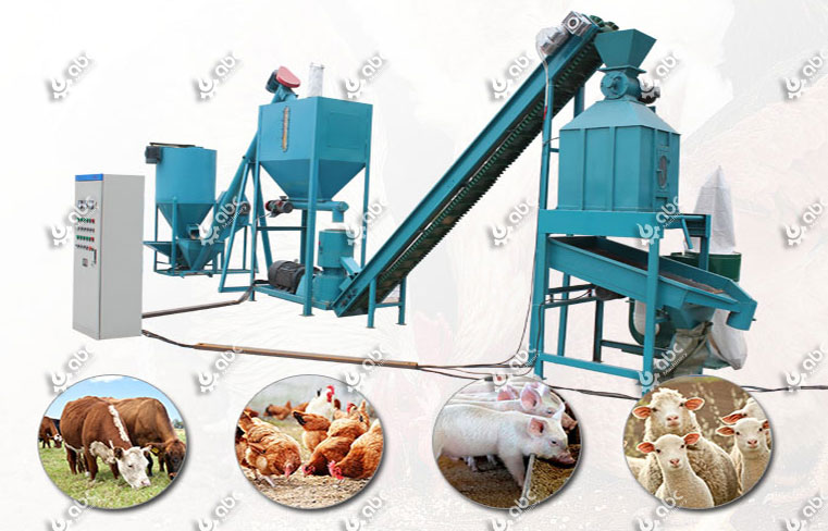 Animal Feed industry insight