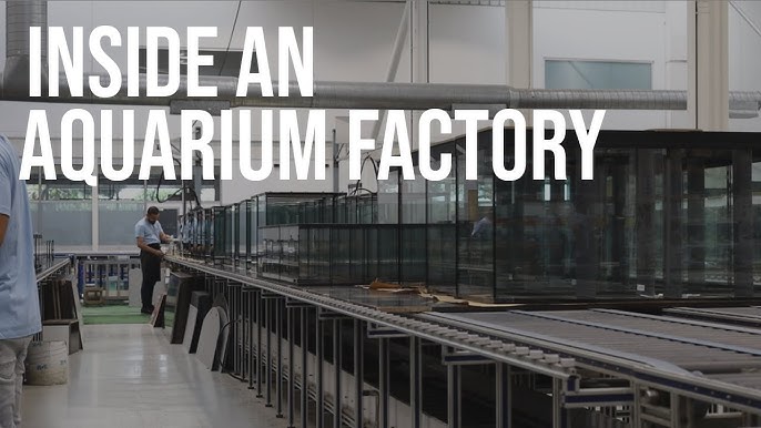 Aquarium Fish Tank industry insight